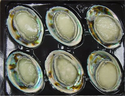 Paua, abalone, abalone on shell, new zealand paua