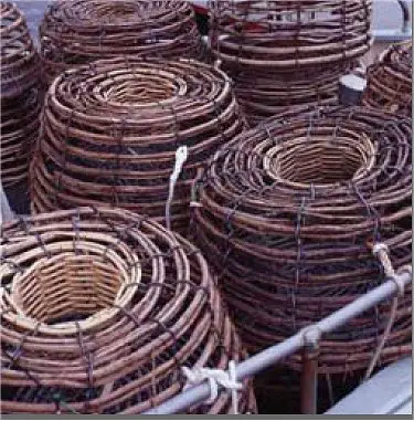 lobster pots, crayfish pots