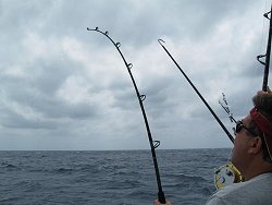 florida fishing bent rods
