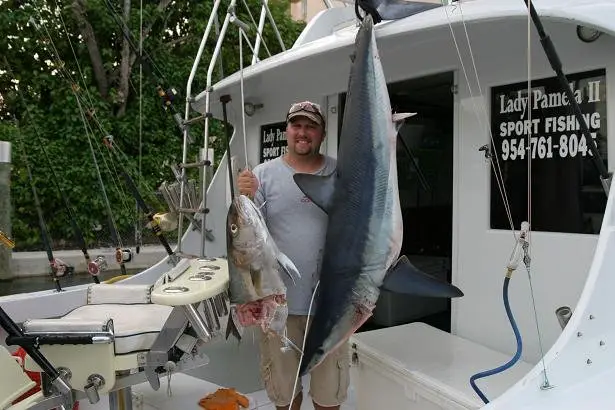 Mako shark caught in florida