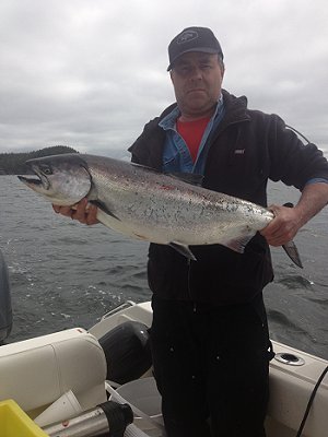 Brent was happy with his day of fishing with friends.  The group of four landed seven nice sized salmon fishing mostly at Austin Island and Meares in scenic Barkley Sound.  Most of the salmon including this one were landed using anchovy in a army truck teaser head behind a glow hotspot flasher
