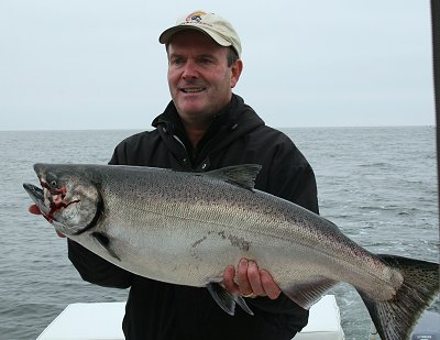 Ken from Kentucky fished with Doug of Slivers Charters Salmon Sport Fishing and landed this Chinook Salmon off of Cree Island located on the surf line of Barkley Sound.  This fish hit an anchovy in a green Rhys Davis teaser anchovy teaser head.