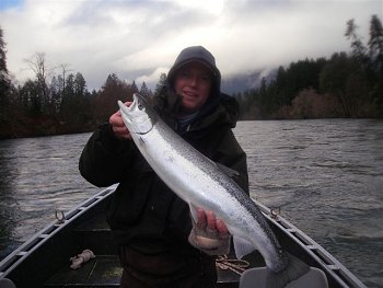 The Stamp river has been high but is now gradually coming down.  This guest fished with guide Bladon on the Stamp River and had an excellent fishing day.  This picture shows one of the winter Steelhead landed.