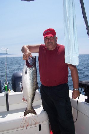 Ed of Surrey B.C.   shows of his beautiful Chinook. Ed and friends fished with guide Wayne and limited in Chinook and Coho close to Meares and Austin Island Barkley Sound on Vancouver Island British Columbia.