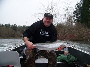 Tony of Victoria B.C. shows his chrome winter Steelhead he picked up on January 6th.  This fish was landed on the Stamp River near Port Alberni located on Vancouver Island with guide Blaydon. . Fishing on the Stamp for Steelhead has been very good and should continue until the end of March