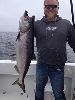 Chinook landed by Mike who fished with Slivers Charters Salmon Sport fishing.  The 2015 season is fast approaching. 