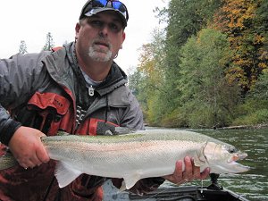 Guide Nick shows a beautiful Summer Steelhead landed in mid October in the Upper Stamp River.  This fish hit a spin-n-glo.