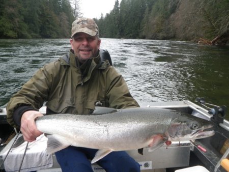 The Stamp River close to Port Alberni has had some terriffic Steelhead fishing especially in the Lower River.  This guest Jake from Vancouver had a terriffic day on the Stamp hooking into several fish and landing his limit of two hatchery fish.  Some of the winter Steelhead are up to sixteen and seventeen pounds.  The Steelhead in the Lower River are hitting roe and roe bags.