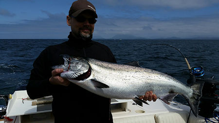 Chinook salmon landed in May outside of the Ucluelet Harbor on the Turtle Head.   This fish hit a green nickel coyote spoon