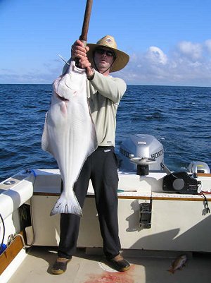 Beautiful halibut got on an extremely beautiful day caught by Ted of Vancouver Washington.  This halibut was picked up using a spreader bar 7 miles offshore from Ucluelet.  Guide was Alan from Ucluelet