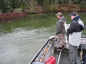 Adam of Edmonton Alberta   playing a fall steelhead with guide Rollie on the Upper Stamp River 