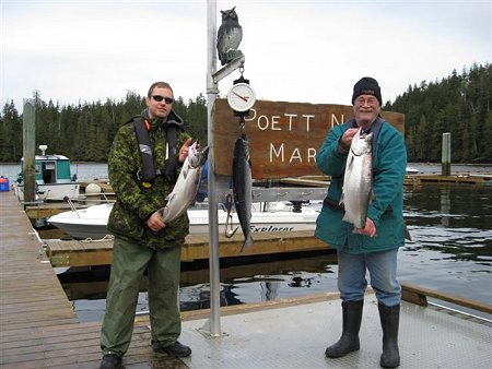 Peter on the right who is part owner of the Poett Nook Marina fished in the Sproat Loggers Derby with guest Jim.  They show three of their bright silver Winter Chinook caught close to Poett Nook in Barkley Sound B.C. on Green spatterback hootchies and green-blue hootchies