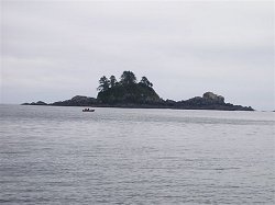 The protected water of Barkley Sound can be very calm, quiet, and scenic. As seen in this picture a small aluminum boat fishes right on the surf line off of Ship Island
