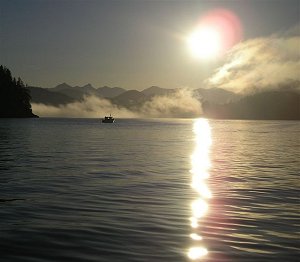 Barkely Sound on a beautiful morning with a lone boat and the rising sun and fading fog in the background.  Barkley Sound not only offers great salmon sport fishing but beautiful scenery