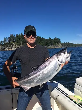 Mike from Calgary fished with Doug from Slivers Charters and landed this twenty-five pound Chinook at Cree Island in Barkley Sound.  This salmon hit an anchovy in a green haze teaser head