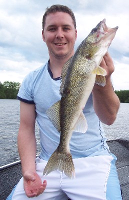 Walleye action remains steady with numbers of legal walleyes including some beautiful slot fish (20-28) continuing to show up on a regular basis. 