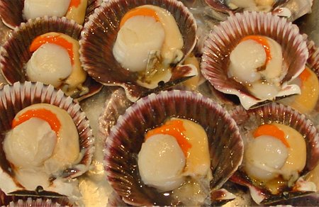 roe on scallops, sea scallops, scallops in the shell, scallop recipes, how to cook sea scallops