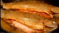 Pan Fried Crispy Trout with Bacon