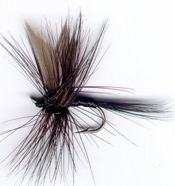 Black Gnat Dry fishing fly