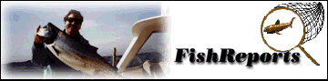 fishrpts1.gif (36366 bytes)