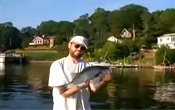 Hybrid Striped Bass Fishing