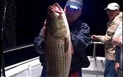 How to catch a Striped Bass at Night