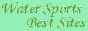 Top Sports Sites