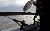 Early Spring, Striped Bass fishing on Lake Texoma