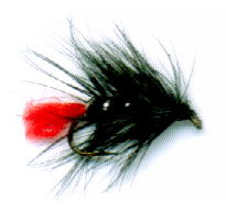 zulu fishing fly