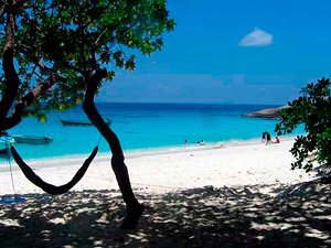 Diving in Similand Islands, Surin Islands, beautiful beaches in Similan Islands