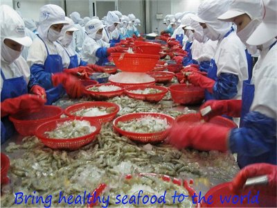 A B Golden Seafood shrimp processing, vannamei shrimp processors, black tiger shrimp
