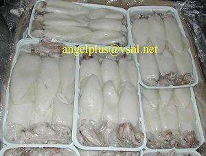 Angelplus Foods India - Tray Pack Squid