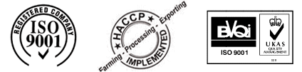 ISO 9001, HACCP, BVQI certificates