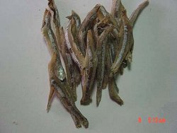suppliers of dried anchovies