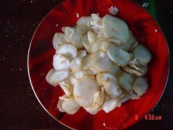suppliers of dried squid, squid tentacles, squid