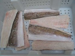 frozen hake fillets, hake, processors of fish fillets