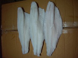 suppliers of sea bass fillets