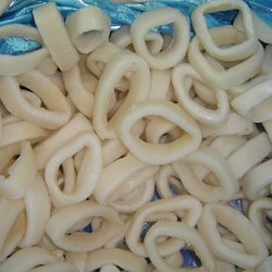 suppliers of processes squid rings, squid products, calamari rings