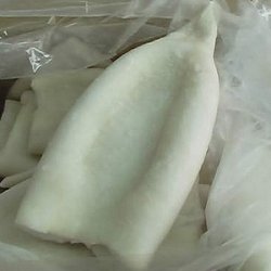 suppliers of squid tube, cleaned squid tubes