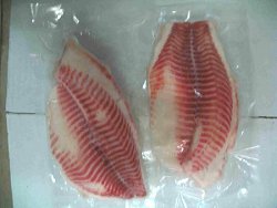 tilapia fillets