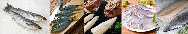  Frozen Silver Pomfret, White Pomfret IQF, Frozen Spanish Mackerel - W/R, Fillet, Portion, Frozen Horse Mackerel - W/R, HGT, Frozen Striped Bonito - W/R, HGT, Frozen Bullet Mackerel - W/R, HGT, Frozen Mahi Mahi - W/R, Fillet, Grey Mullet - Gutted, W/R, Monkfish Tail, Moon Fish, Mackerel - Whole Round, Headed Gutted Tail off, Fillet, Flaps, Pre-cooked