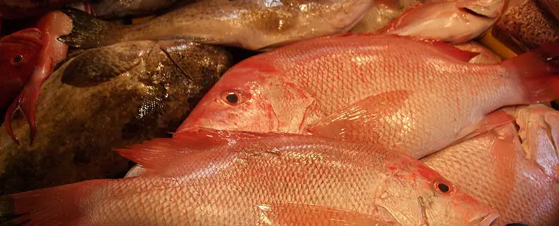 Kihada Fisheries - Distributors of fresh snappers and grouper fish