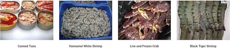 Knold's Seafood Sweden - Canned Tuna, Canned Seafood, Vannamei White Shrimp, Live and Frozen Crab, Black Tiger Shrimp