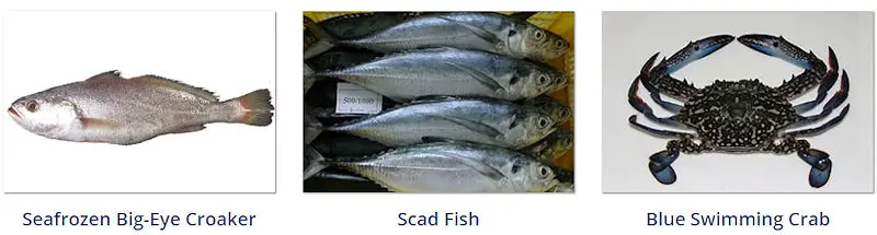 Mah Protein Iran Export Seafood Products - Seafrozen big eye croaker, scad fish, blue swimming crab