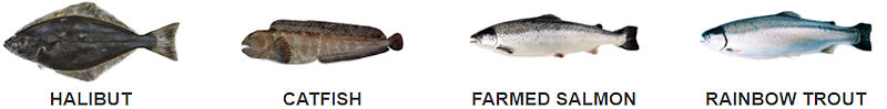 Naco Seafood - Halibut, catfish, farmed salmon, rainbow trout