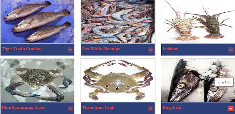 Fresh and frozen seafood products from Pakistan - Tiger Tooth Croaker, TT Croaker, Sea White Shrimps, Lobster, Blue Swimming Crab, Three Spot Crab, 3 spot crab, King Fish