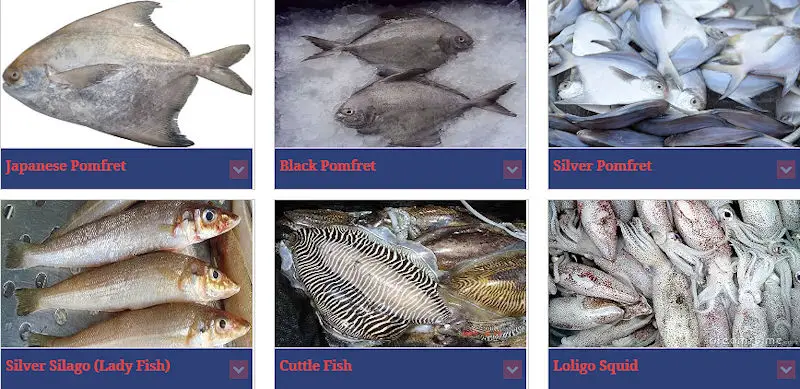 Fresh and frozen seafood products from Pakistan - Japanese Pomfret, Black Pomfret, Silver Pomfret, Silver Silago, Lady Fish, Cuttle Fish, Loligo Squid