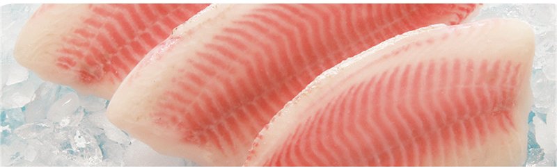 Ocean More Food Co China - Tilapia fillets, red fish, fish fillet processors