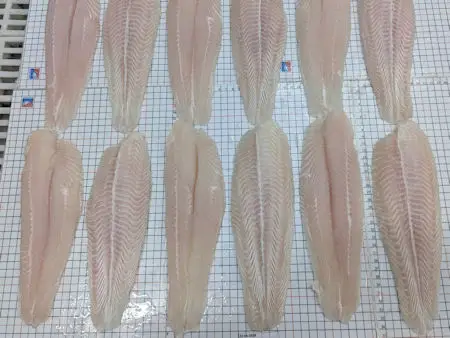OFCO Group - SEAFOOD INSPECTION & CONSULTING IN VIETNAM - Photo taken during inspection