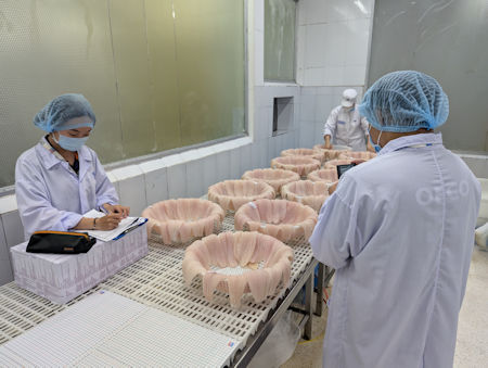 OFCO Group - SEAFOOD INSPECTION & CONSULTING IN VIETNAM - Pre-shipment Inspection (PSI)
